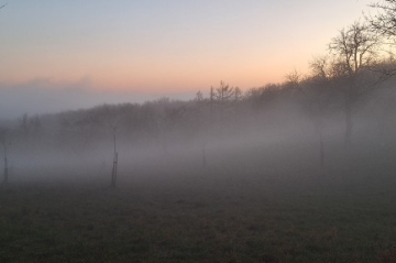 Vernebelte Landschaft
